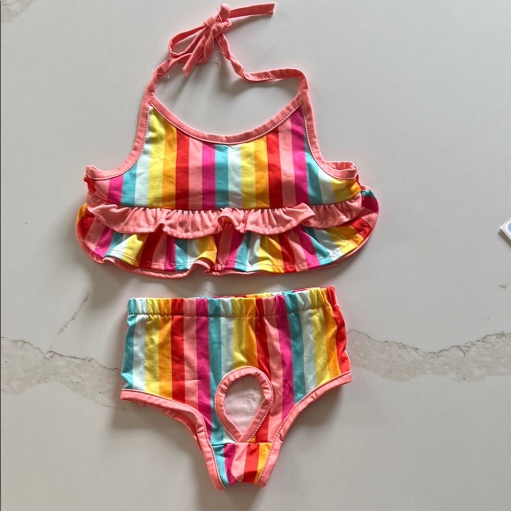 Rainbow Striped Dog Swimsuit